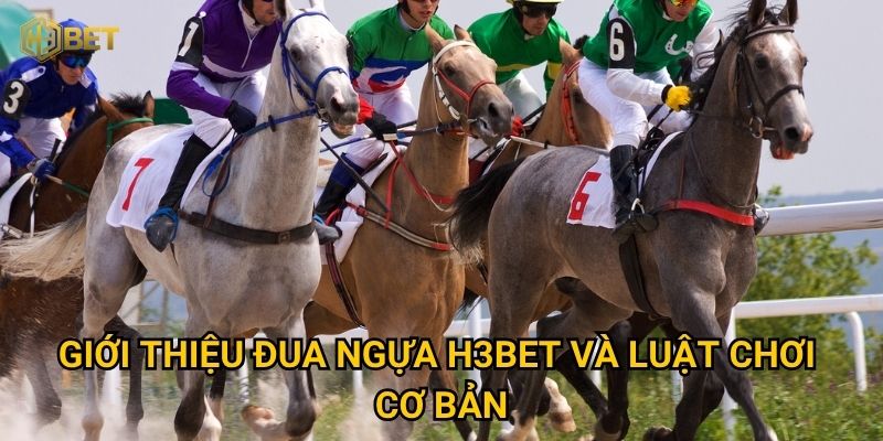 Giới thiệu Đua ngựa H3bet và luật chơi cơ bản