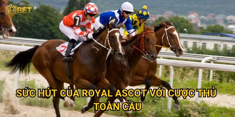 Sức hút của Royal Ascot với cược thủ toàn cầu