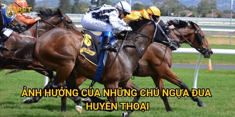 Ảnh hưởng của những chú ngựa đua huyền thoại